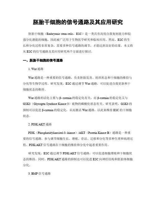 胚胎干细胞的信号通路及其应用研究