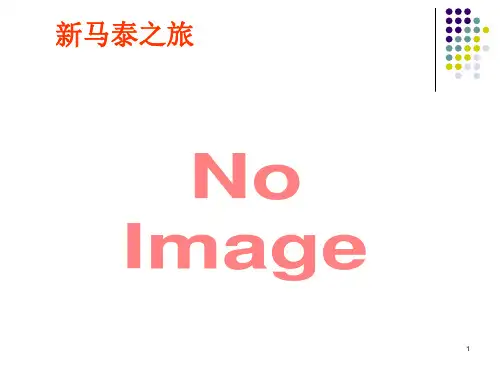 新马泰旅游介绍PPT精选文档