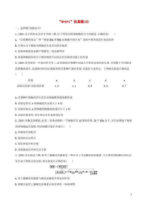 2024高考生物考前限时提分练“6+4+1”仿真练4含解析