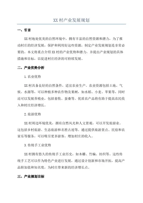 XX村产业发展规划