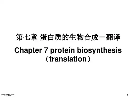 分子生物学课件第七章 蛋白质的生物合成-翻译