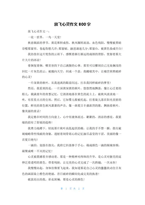 放飞心灵作文800字