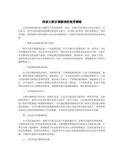 浅谈大班区域游戏的指导策略
