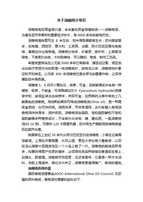 关于油橄榄小常识