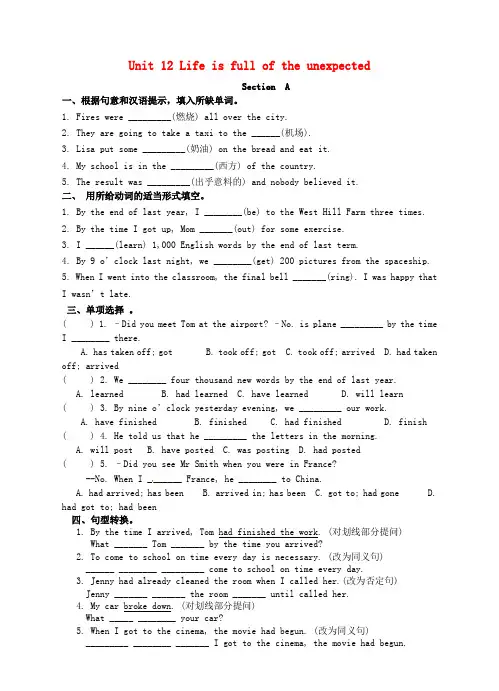 九年级英语全册 Unit 12 Life is full of the unexpected课时练1 (新版)人教新目标版