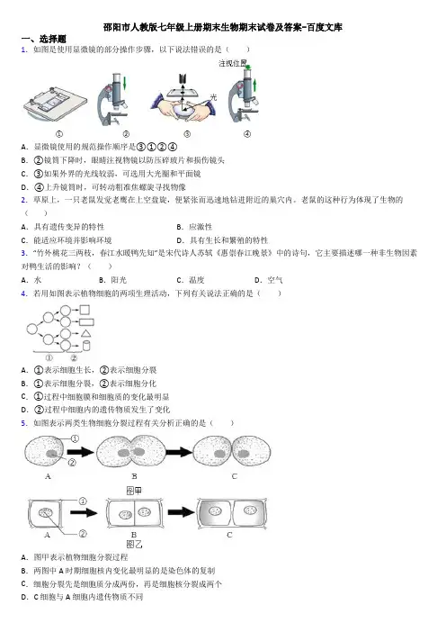 邵阳市人教版七年级上册期末生物期末试卷及答案-百度文库