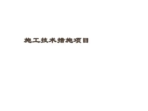 施工技术措施项目计量计价规则