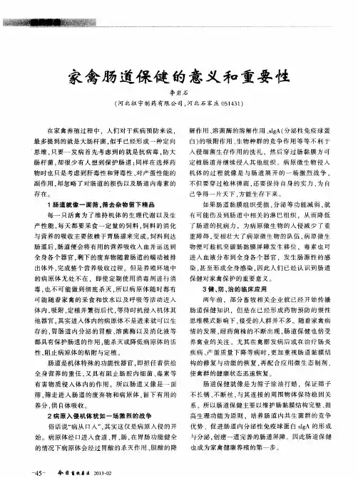 家禽肠道保健的意义和重要性