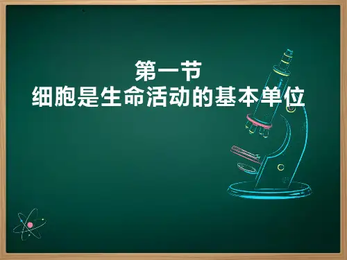 生物体的结构层次课件