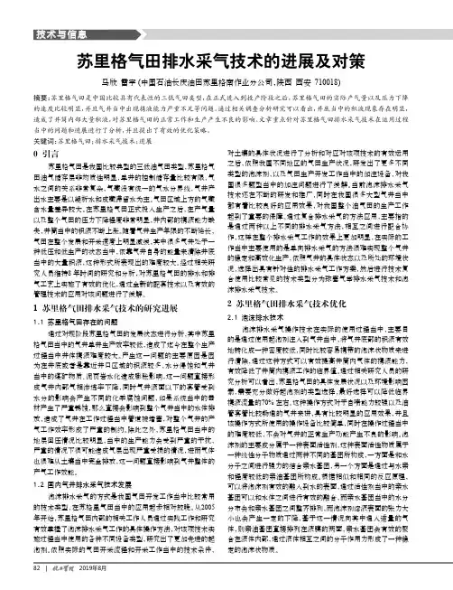 苏里格气田排水采气技术的进展及对策