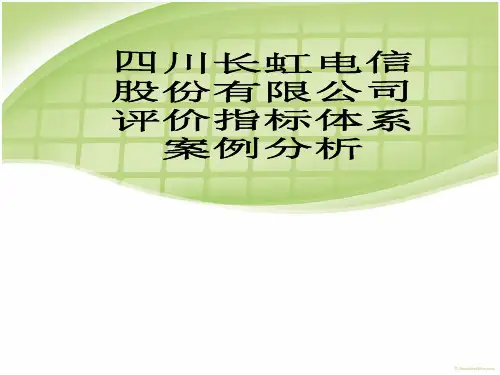 四川长虹股份有限公司财务舞弊