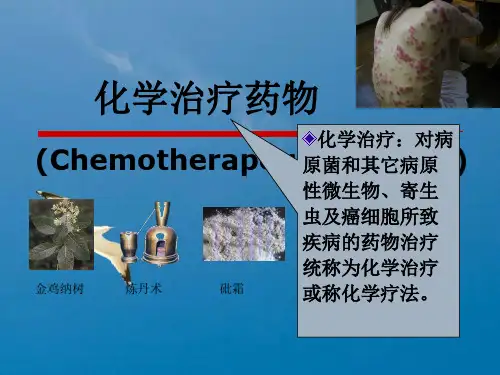 抗生素化疗药1磺胺药ppt课件
