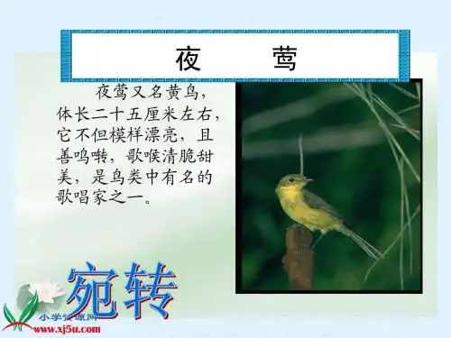 人教新课标四年级语文下册《夜莺的歌声》PPT课件