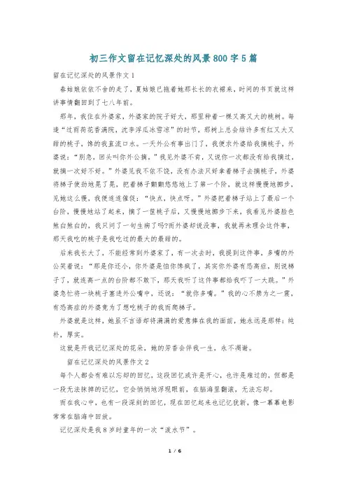 初三作文留在记忆深处的风景800字5篇