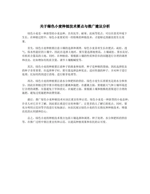 关于绿色小麦种植技术要点与推广建议分析
