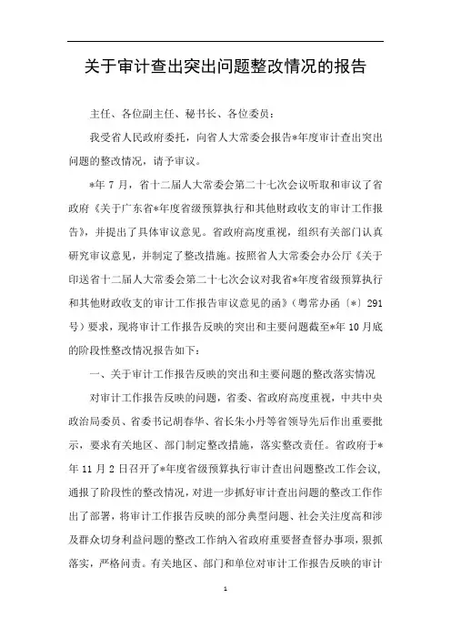 关于审计查出突出问题整改情况的报告