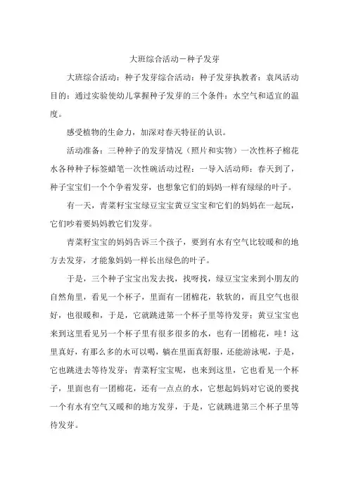 大班综合活动-种子发芽