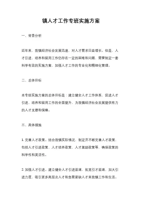 镇人才工作专班实施方案