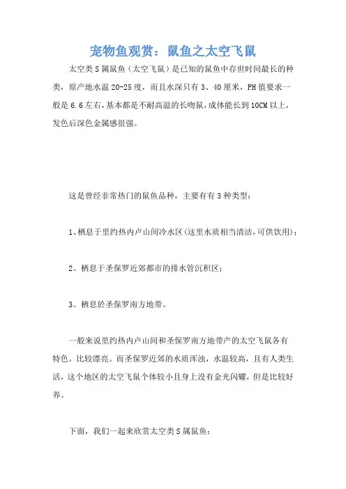 宠物鱼观赏：鼠鱼之太空飞鼠