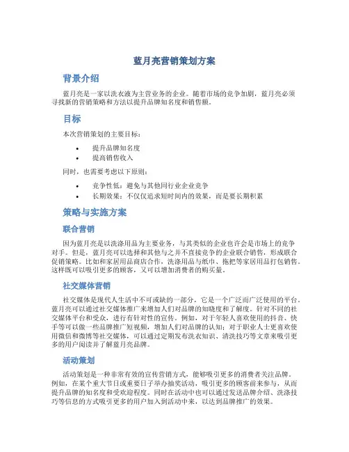蓝月亮营销策划方案
