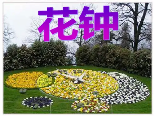 部编版三年级语文下册13花钟(课件)(共31张ppt)
