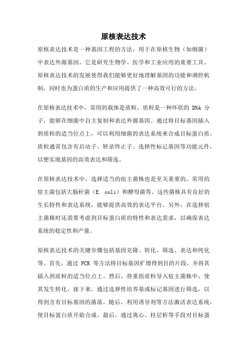 原核表达技术