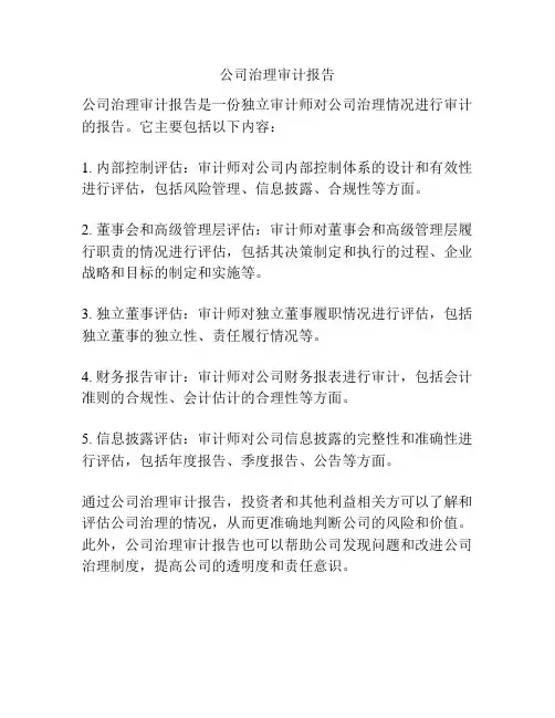 公司治理审计报告