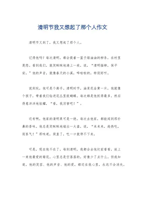 清明节我又想起了那个人作文