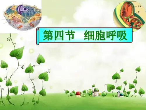高一生物细胞呼吸10省公开课获奖课件市赛课比赛一等奖课件