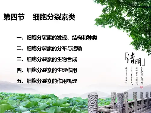 第四节----细胞分裂素类(ctk)PPT课件