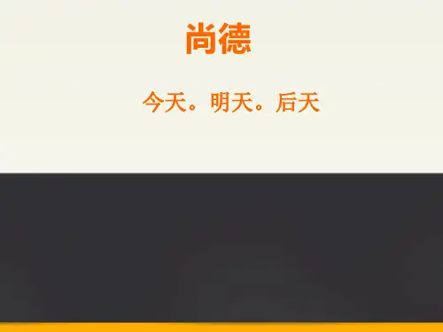 尚德光伏案例分析