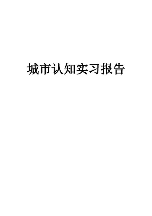 城市认知实习报告 (2)