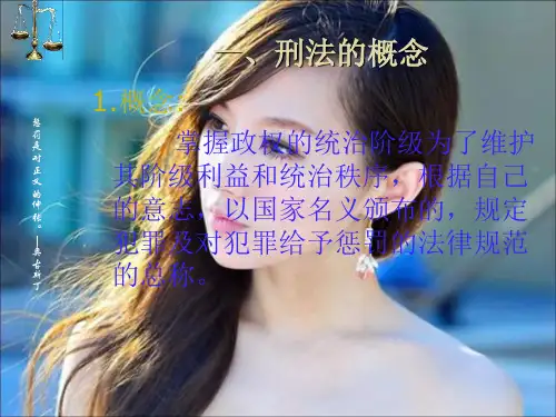 刑法ppt课件36页PPT
