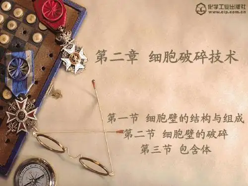 生化工艺——第二章细胞破碎