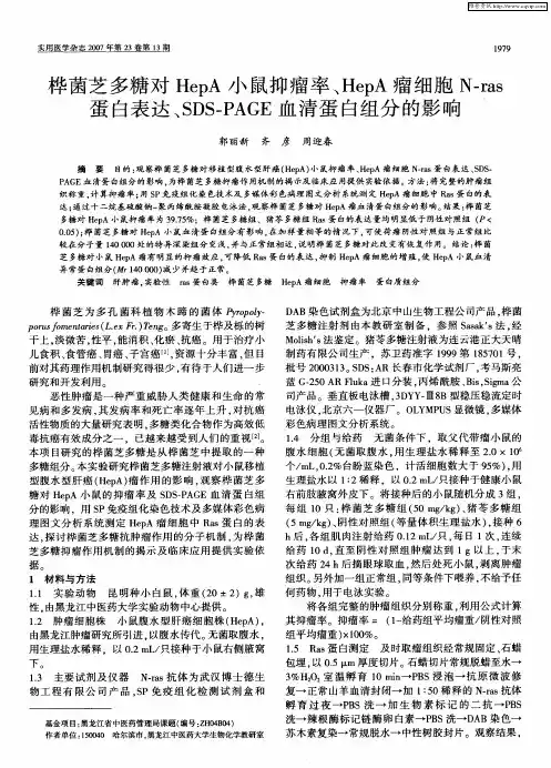 桦菌芝多糖对HepA小鼠抑瘤率、HepA瘤细胞N-ras蛋白表达、SDS-PAGE血清蛋白组分的影响