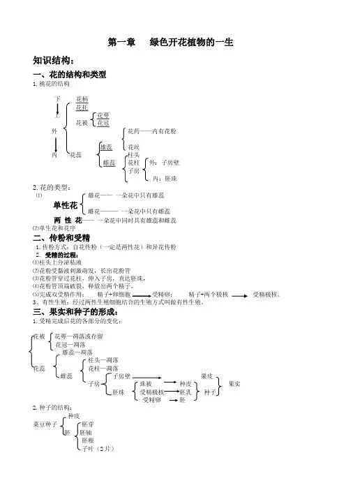 八年级生物上第一章绿色开花植物的一生