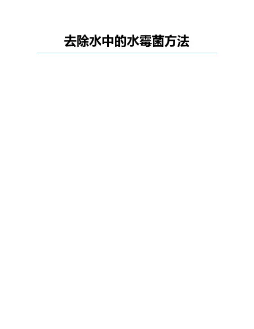 去除水中的水霉菌方法