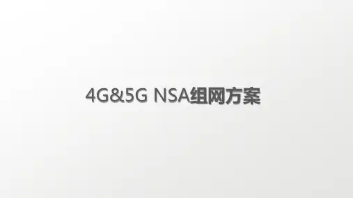 4G和5G NSA组网方案