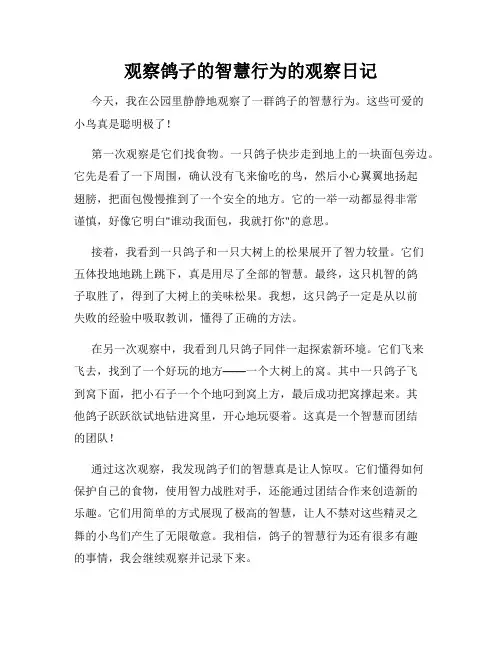 小学三年级作文观察鸽子的智慧行为的观察日记