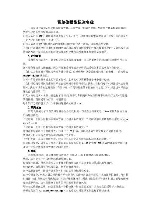 肾单位模型标注名称