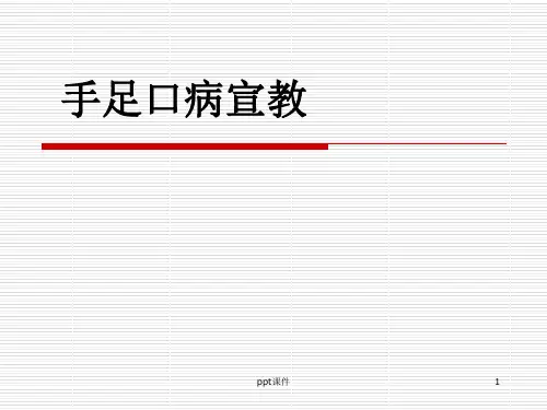 手足口病宣教  ppt课件