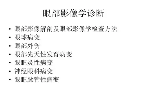 眼眶-ppt课件 106页PPT