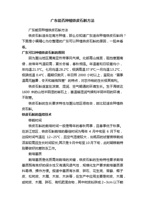 广东能否种植铁皮石斛方法