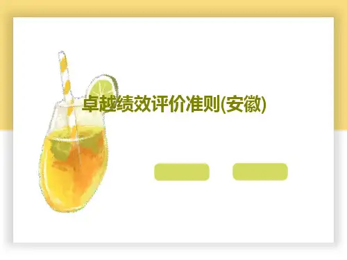 卓越绩效评价准则(安徽)124页PPT