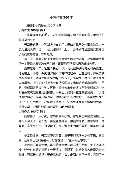【精选】小狗作文300字3篇