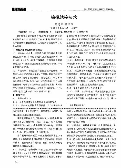 核桃嫁接技术