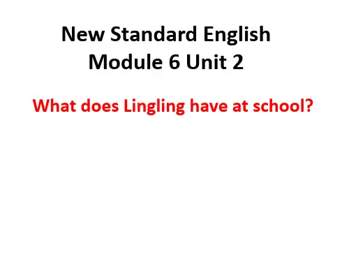 三年级英语下册课件-Module 6 Unit 2 What does Lingling have at school426-外研版（三起）