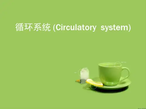 循环系统 (Circulatory  system) PPT精品课件