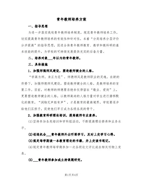 青年教师培养方案(二篇)