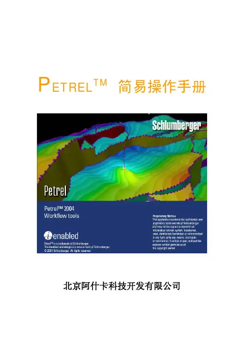 Petrel_简易操作手册